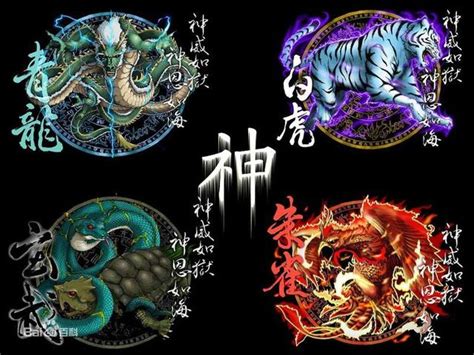 玄武 青龍|四神（青龍・白虎・朱雀・玄武） 